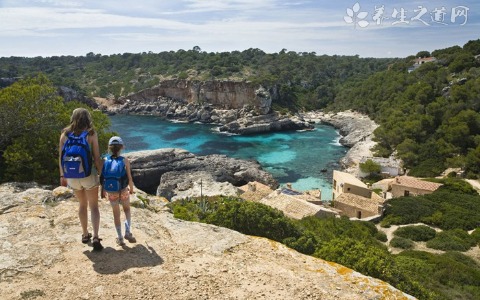 地中海贫血是什么