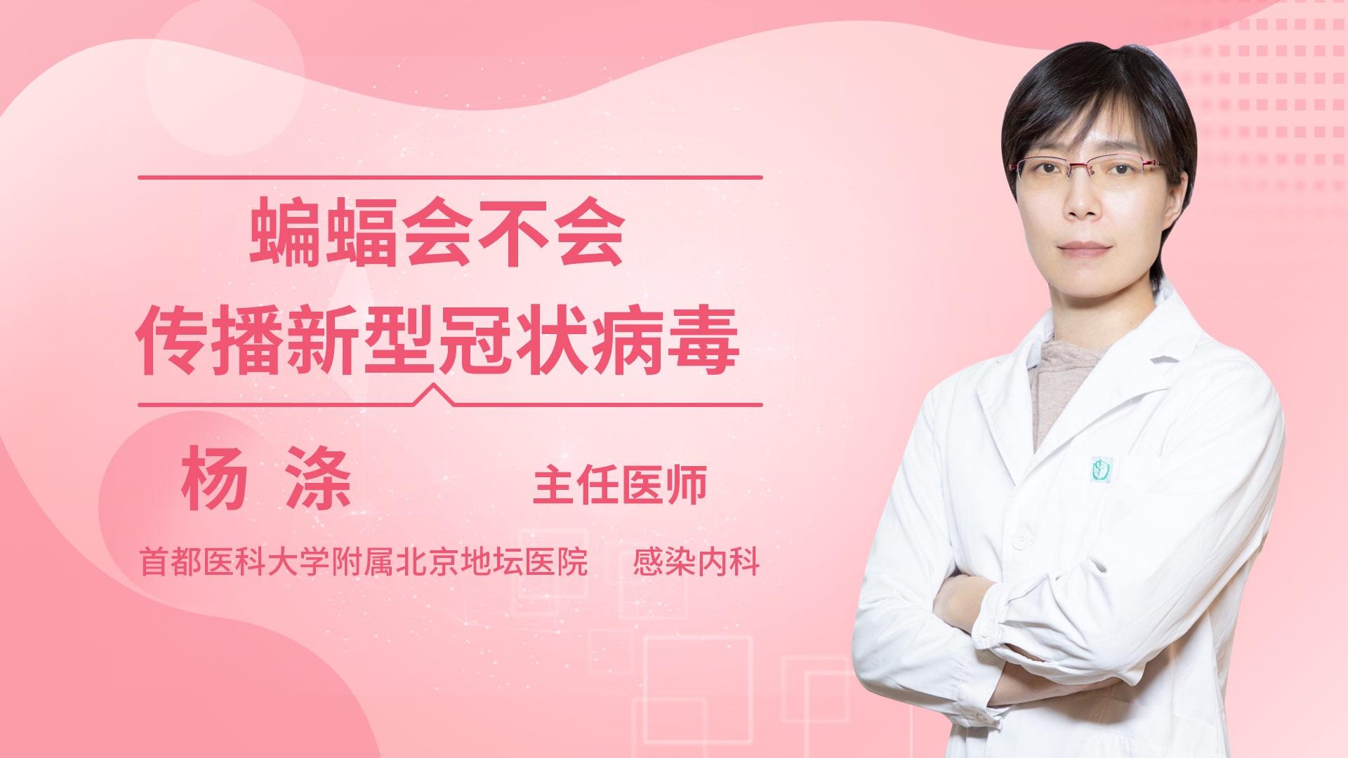 蝙蝠会不会传播新型冠状病毒