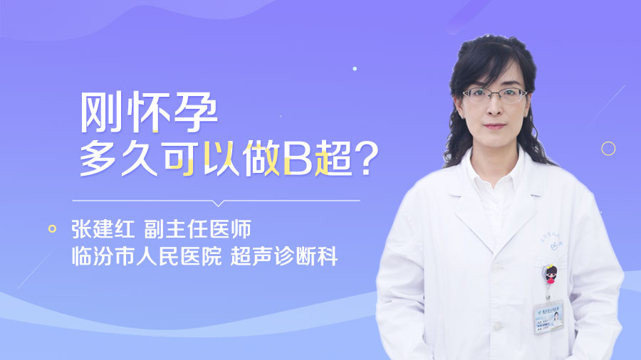 刚怀孕多久可以做B超