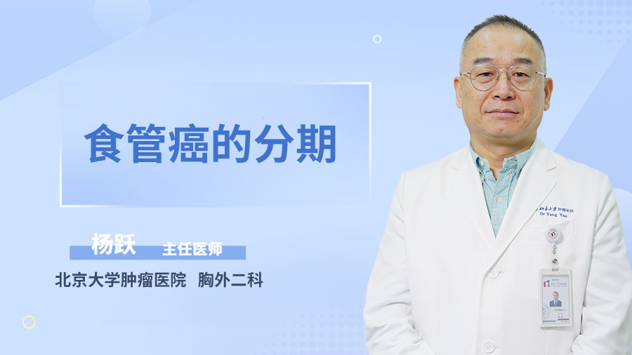 食管癌的分期