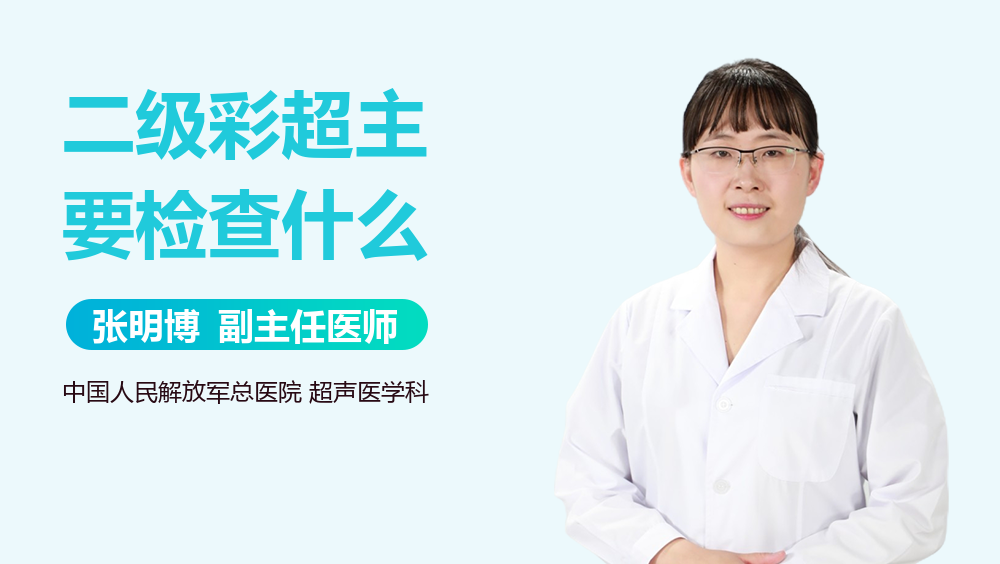 二级彩超主要检查什么