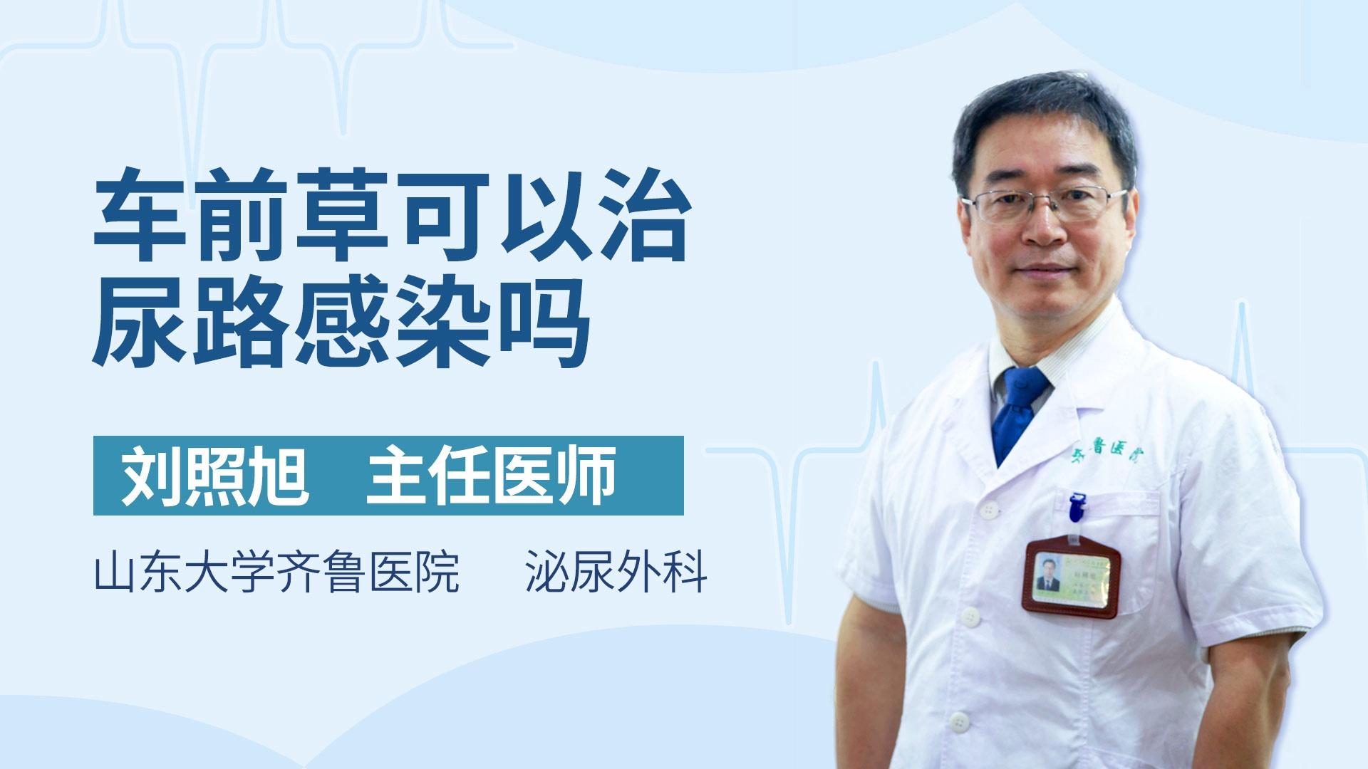 车前草可以治尿路感染吗