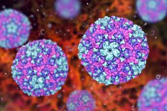 最新证据！“肠道柯萨奇病毒感染”是1型糖尿病