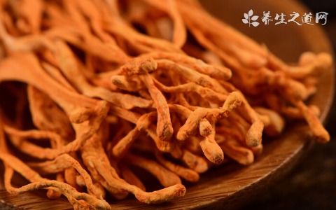 阴虚体质怎样补血