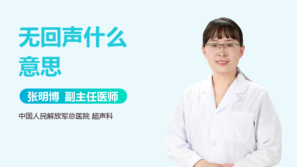 无回声什么意思