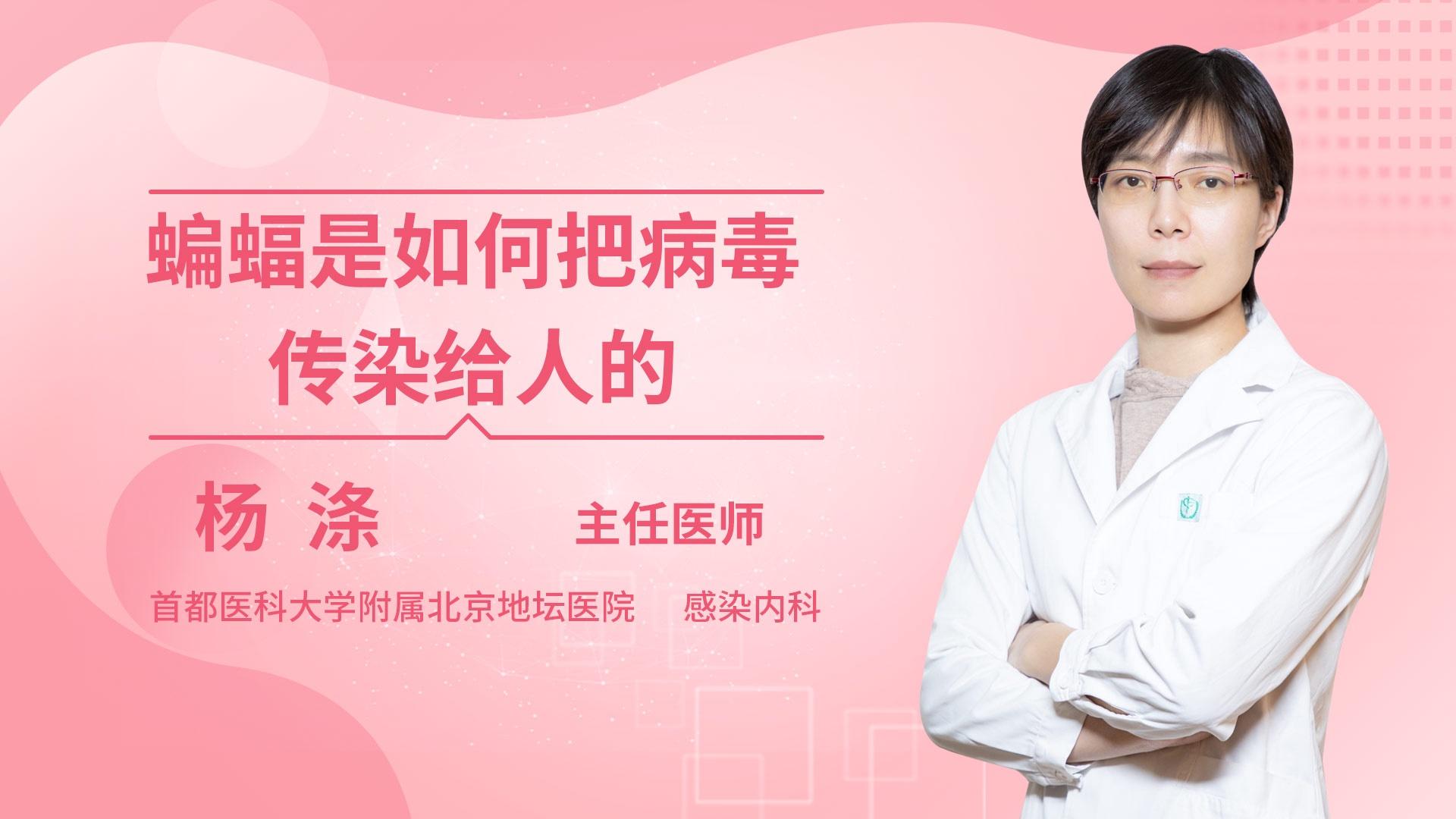 蝙蝠是如何把病毒传染给人的