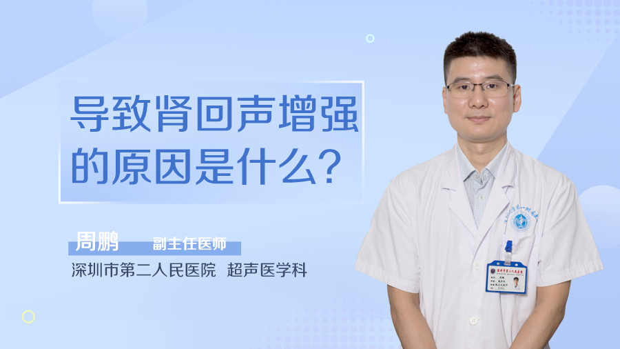 导致肾回声增强的原因是什么？