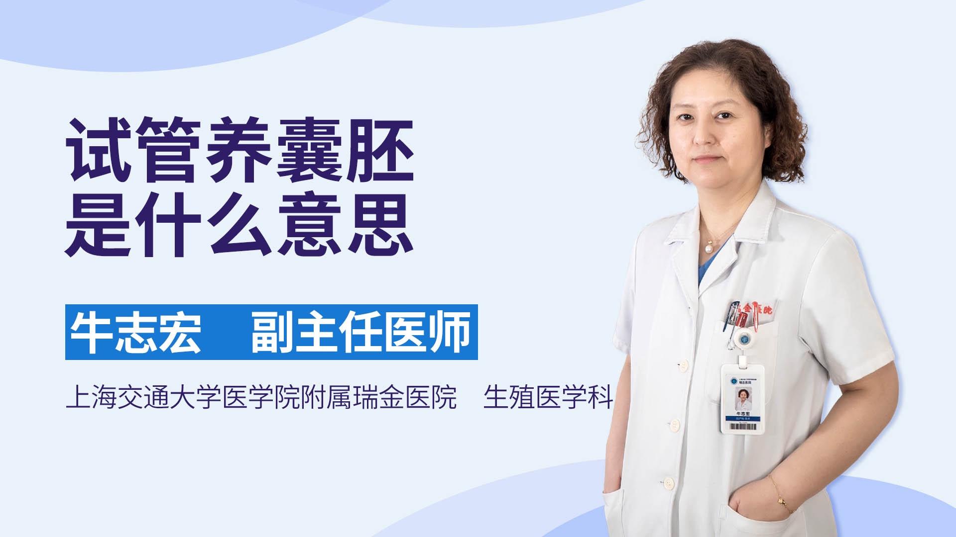 试管养囊胚是什么意思