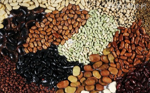 慢性肾炎和肾衰竭的区别是什么