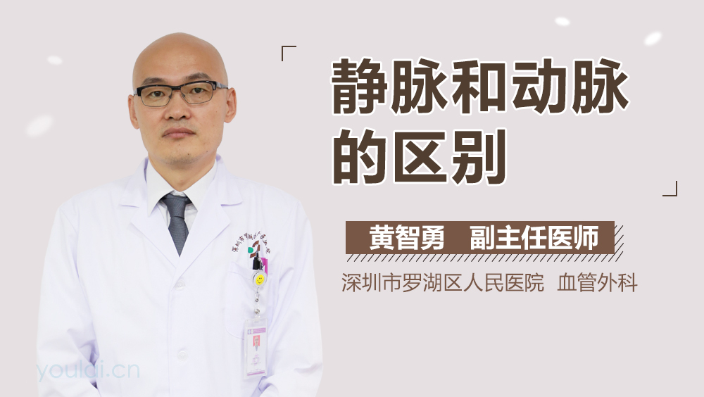 静脉和动脉的区别