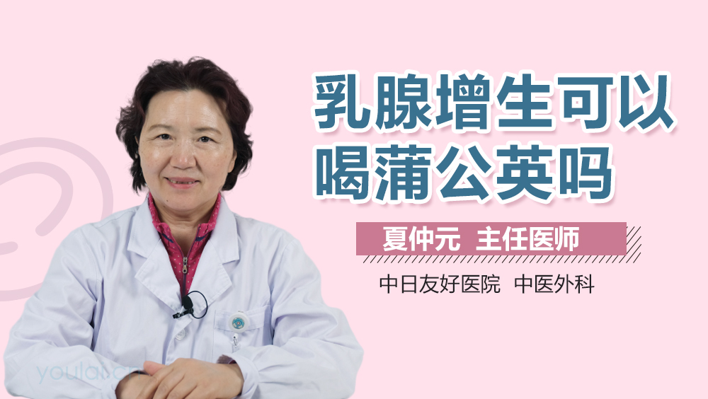 乳腺增生可以喝蒲公英吗