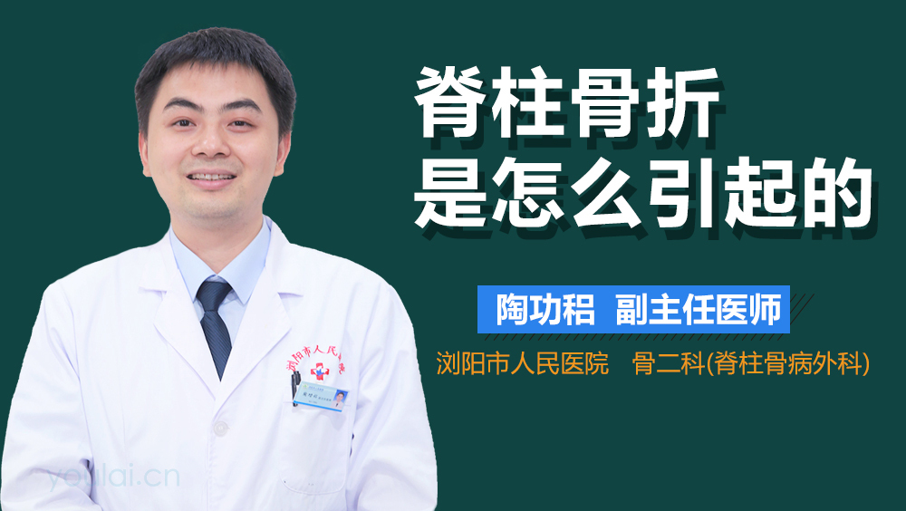 脊柱骨折是怎么引起的