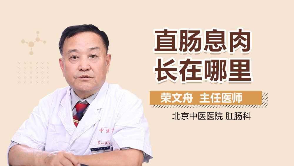 直肠息肉长在哪里