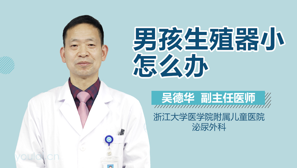 男孩生殖器小怎么办