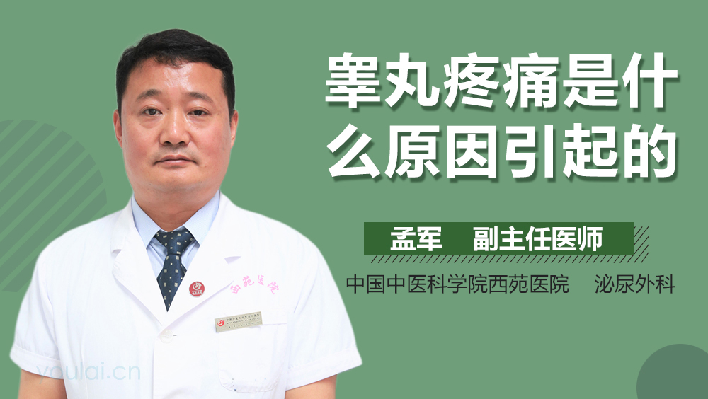 睾丸疼痛是什么原因引起的