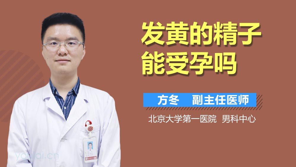 发黄的精子能受孕吗