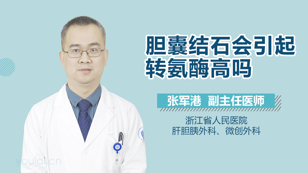 胆囊结石会引起转氨酶高吗