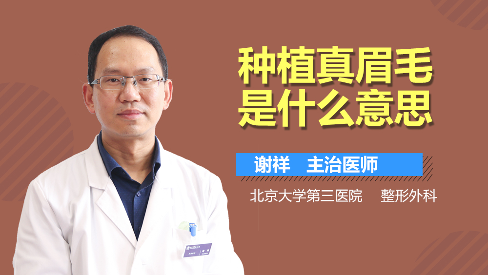 种植真眉毛是什么意思