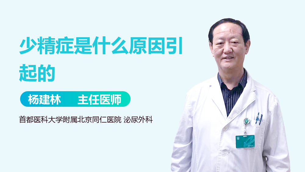 少精症是什么原因引起的