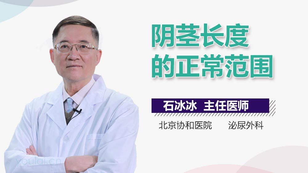 阴茎长度的正常范围