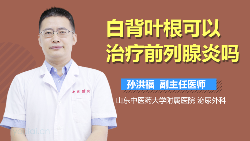 白背叶根可以治疗前列腺炎吗