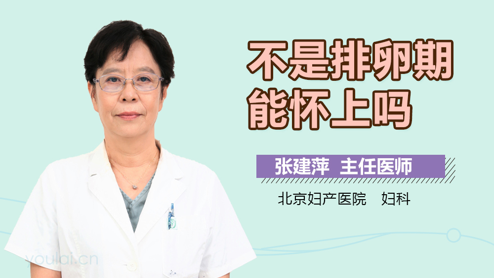 不是排卵期能怀上吗