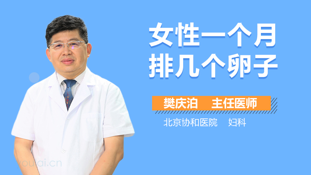 女性一个月排几个卵子