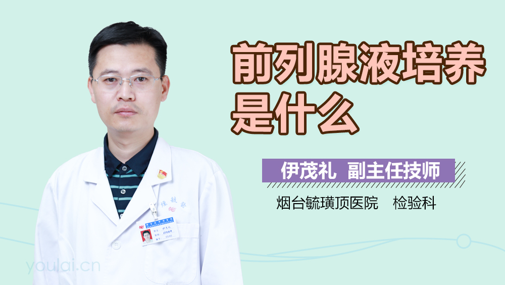 前列腺液培养是什么