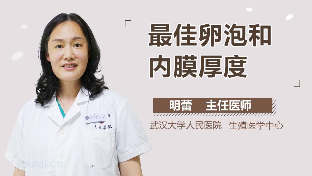 最佳卵泡和内膜厚度