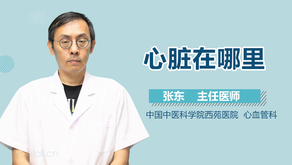 心脏在哪里