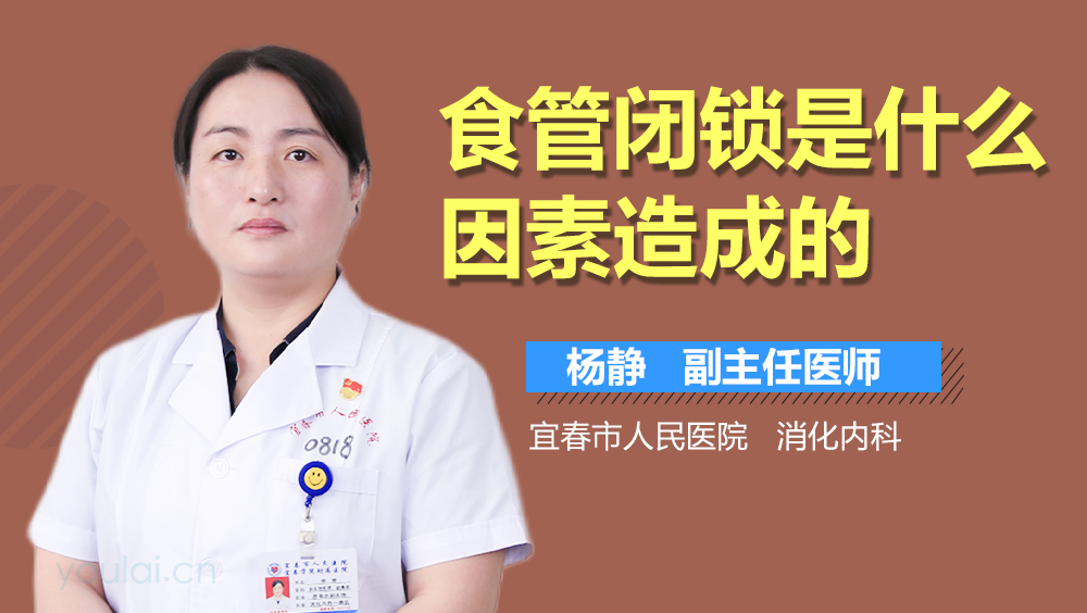 食管闭锁是什么因素造成的