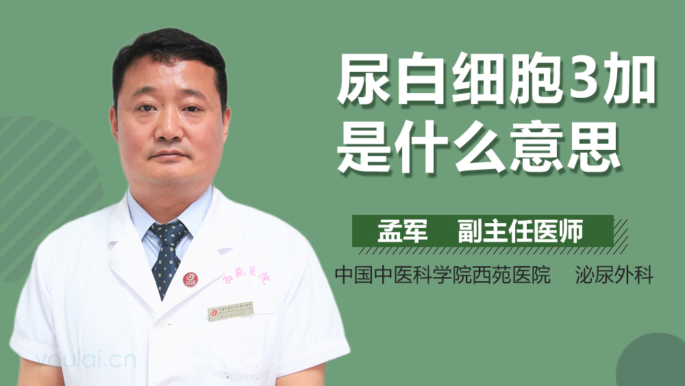 尿白细胞3加是什么意思