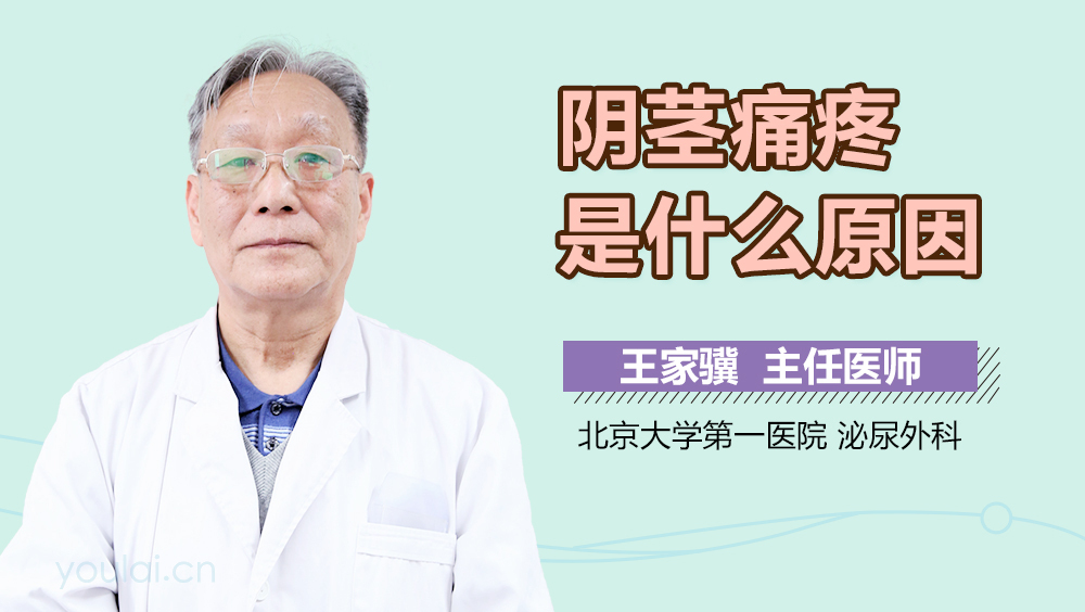 阴茎痛疼是什么原因