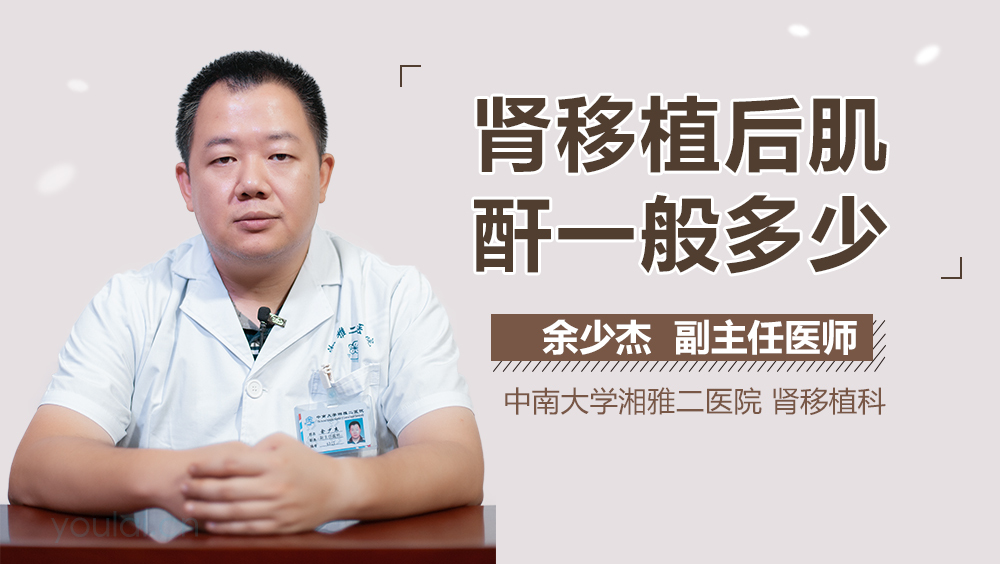 肾移植后肌酐一般多少