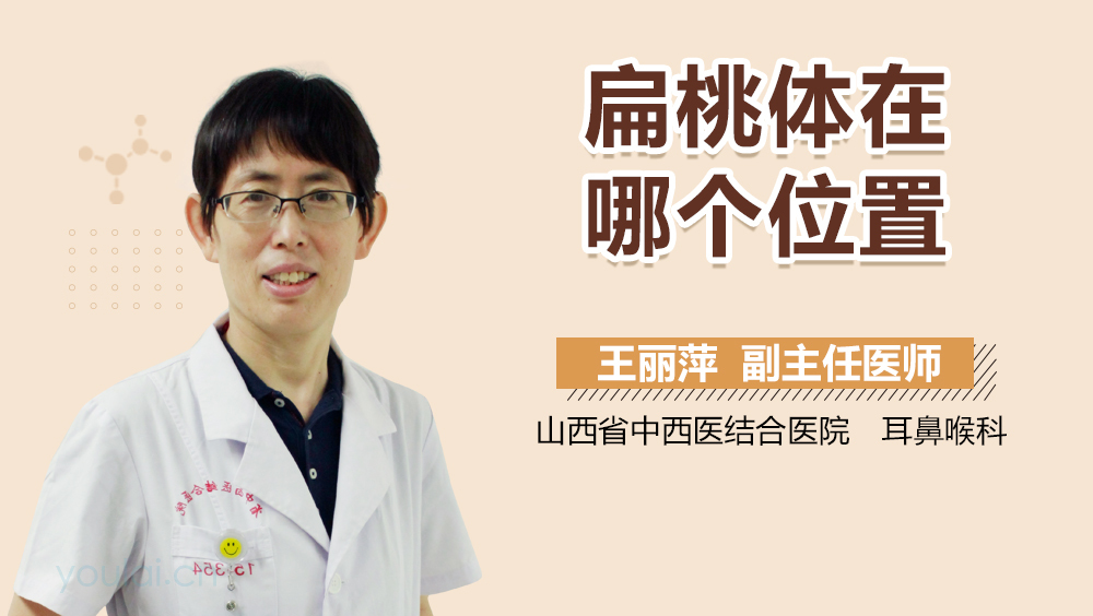 扁桃体在哪个位置