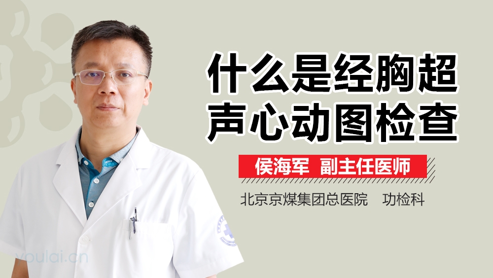 什么是经胸超声心动图检查