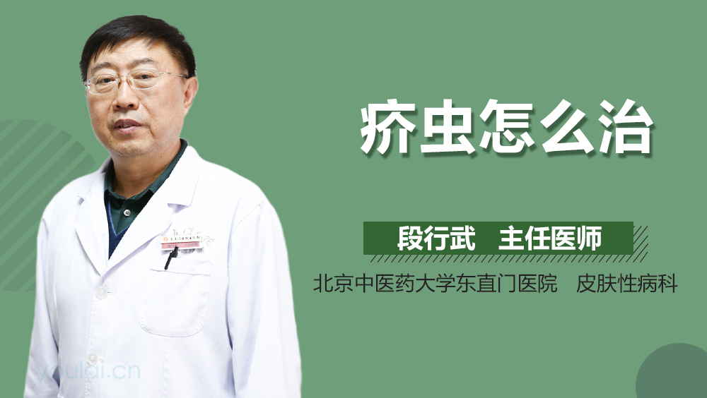 疥虫怎么治