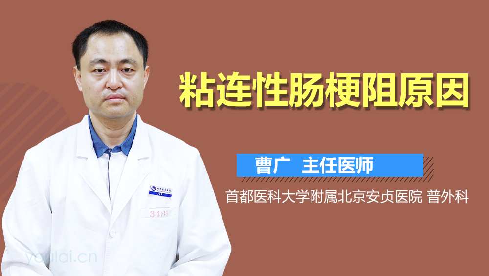 粘连性肠梗阻原因