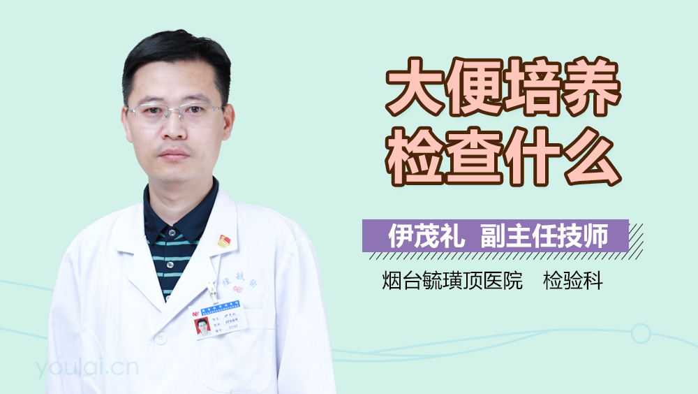 大便培养检查什么