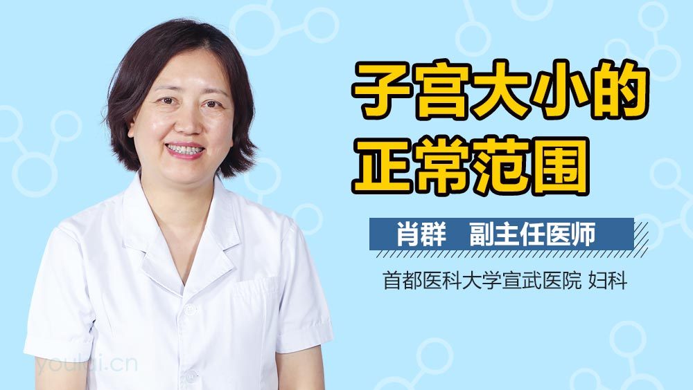 子宫大小的正常范围