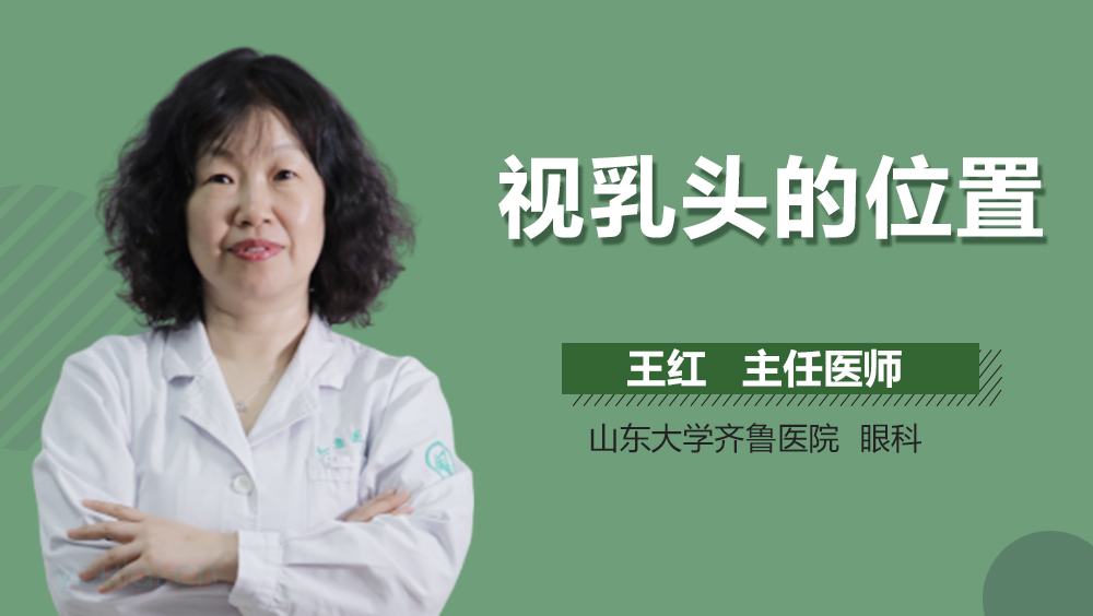 视乳头的位置