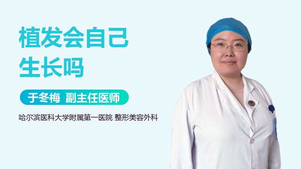 植发会自己生长吗