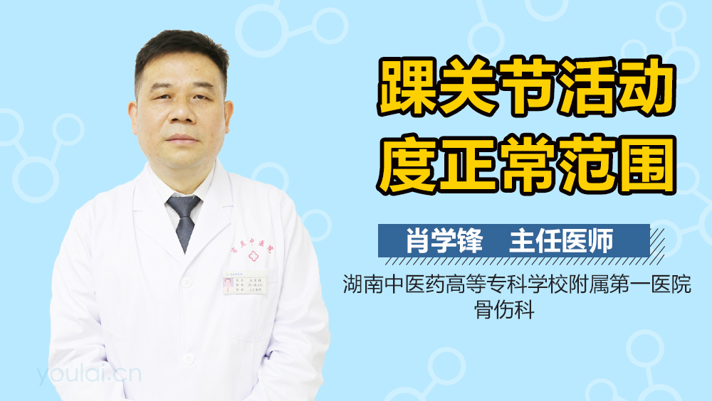 踝关节活动度正常范围