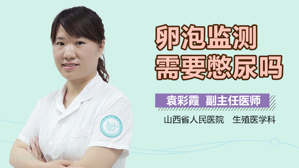 卵泡监测需要憋尿吗