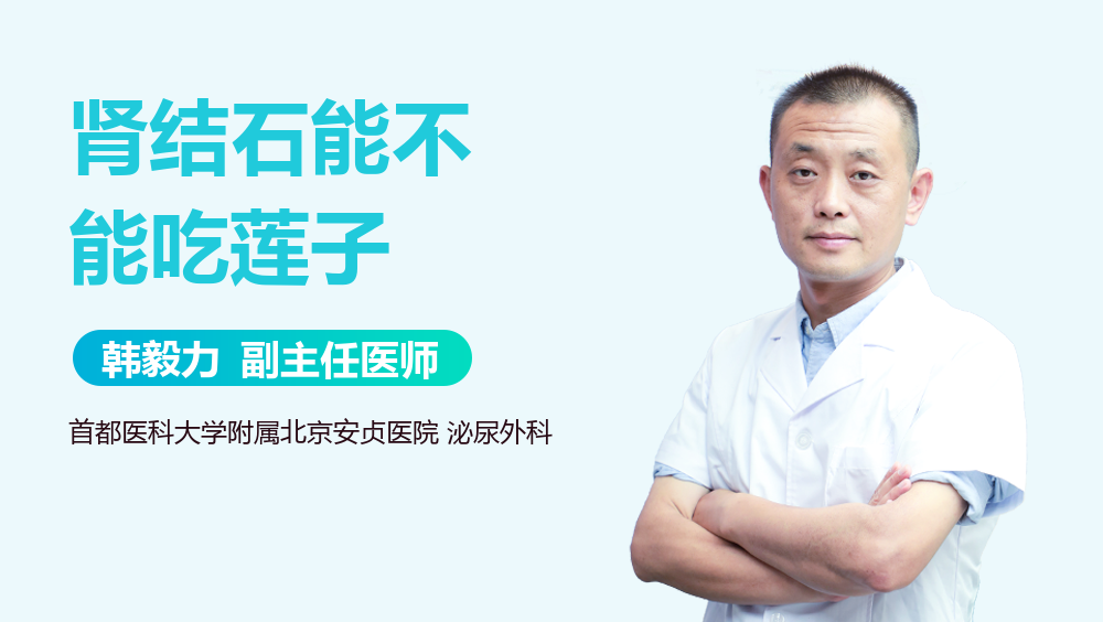 肾结石能不能吃莲子