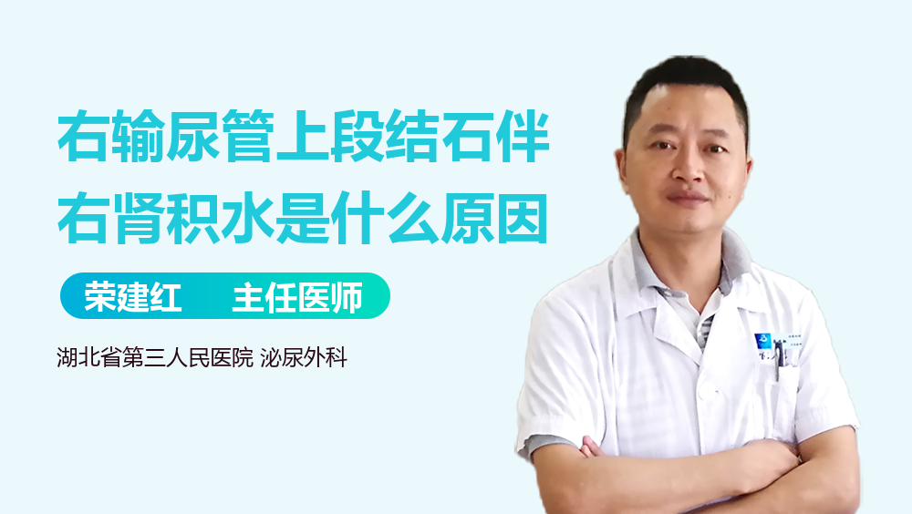 右输尿管上段结石伴右肾积水是什么原因