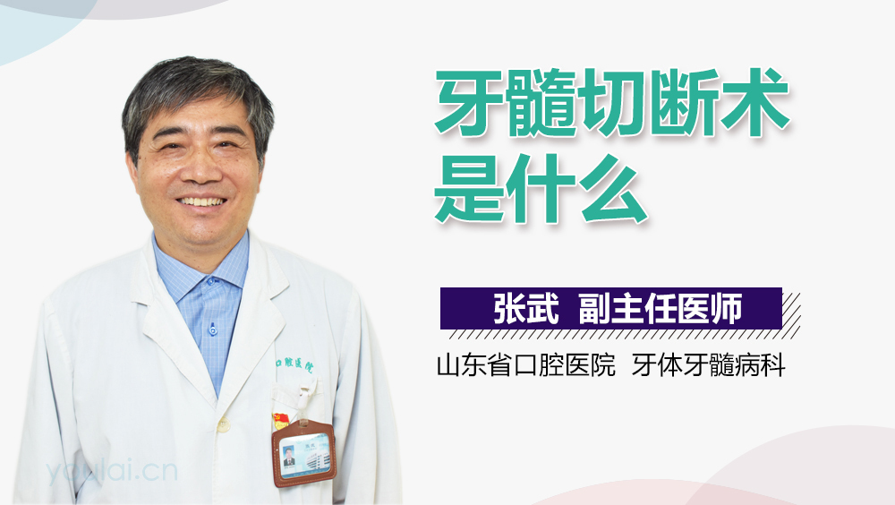 牙髓切断术是什么