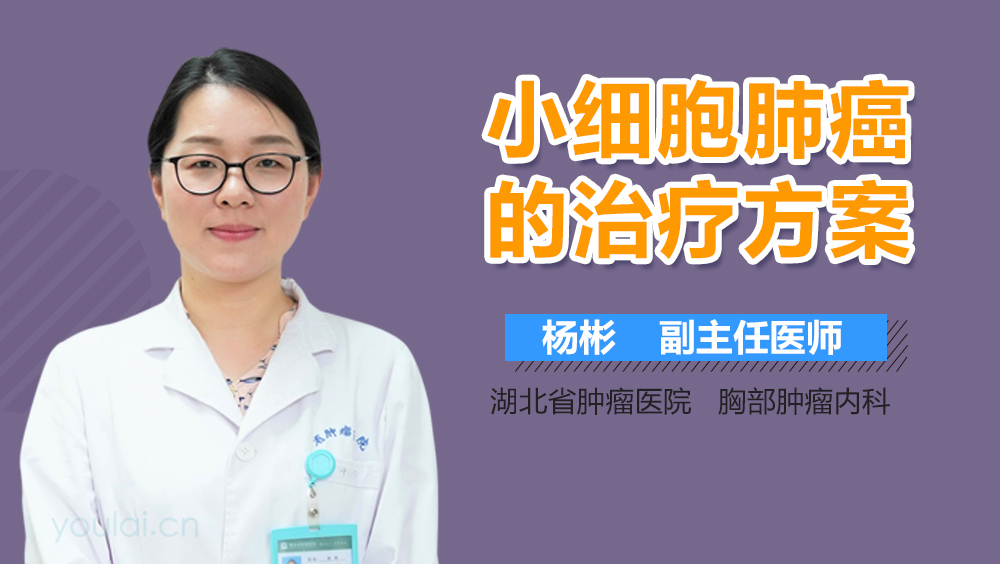 小细胞肺癌的治疗方案