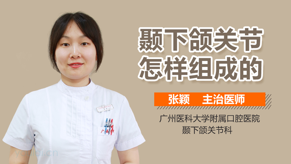 颞下颌关节怎样组成的