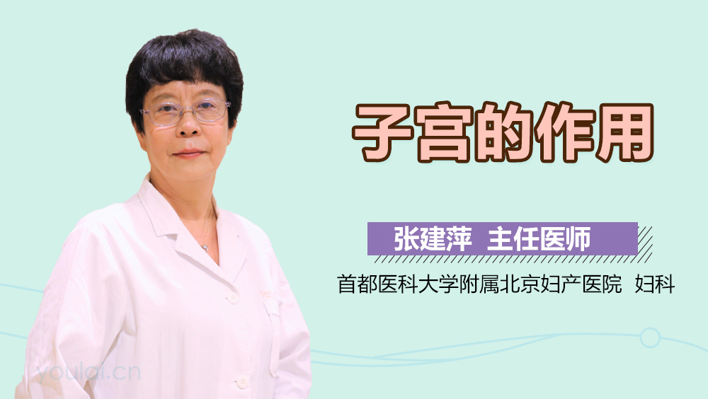 子宫的作用
